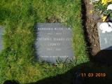 image of grave number 959290